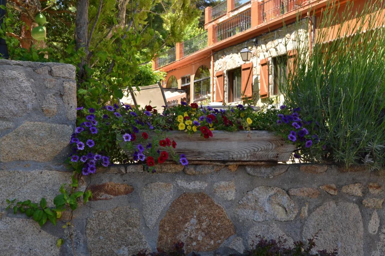 Hospedium Hostal Almanzor Navarredonda de Gredos Exteriér fotografie